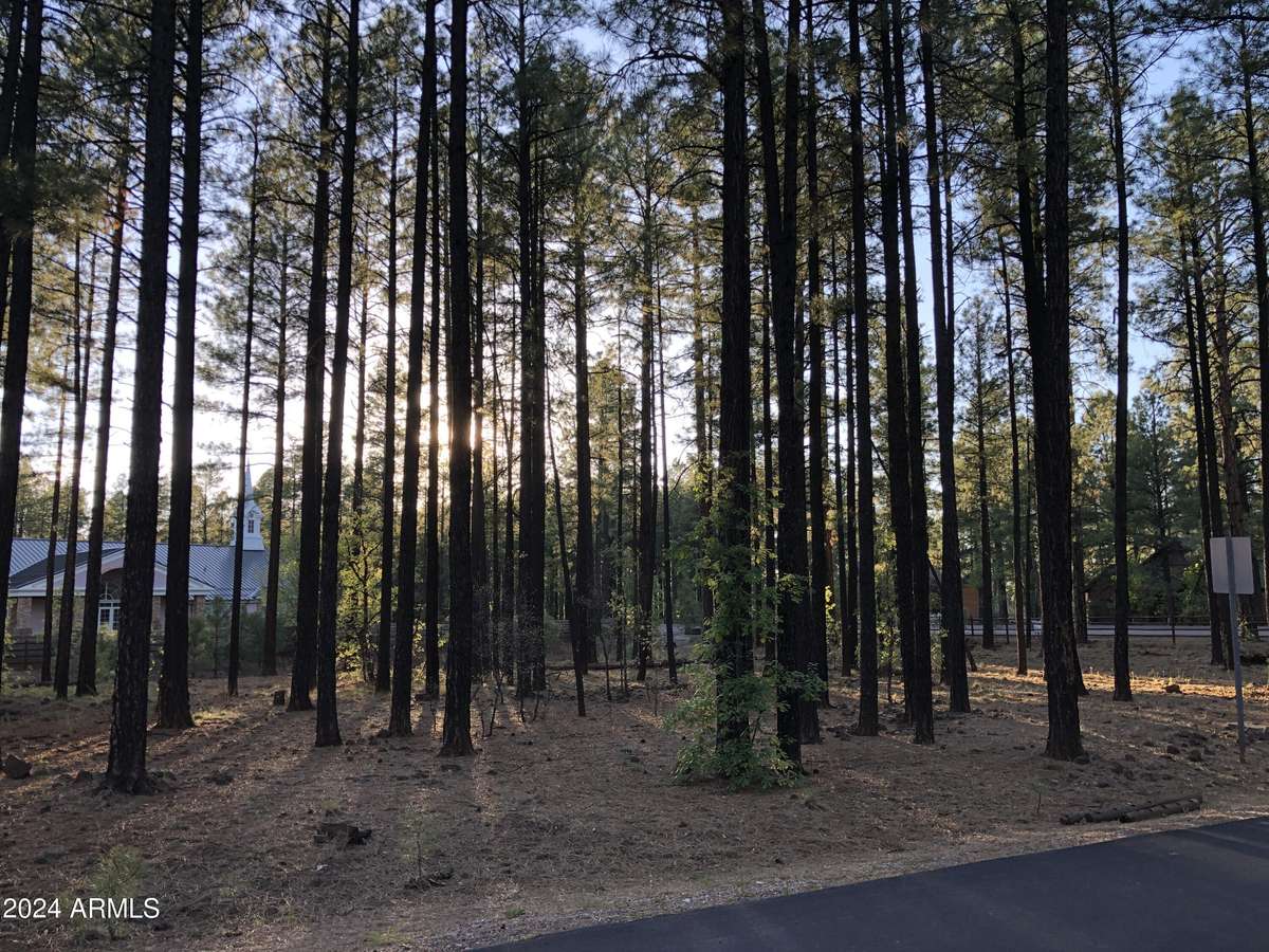 Pinetop, AZ 85935,2504 TIMBER RIDGE Lane #1