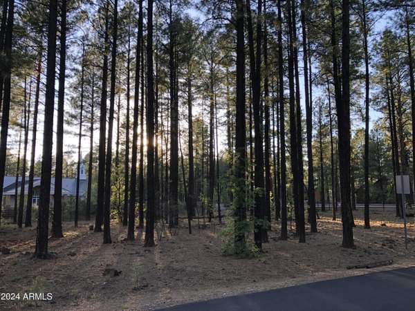 2504 TIMBER RIDGE Lane #1, Pinetop, AZ 85935