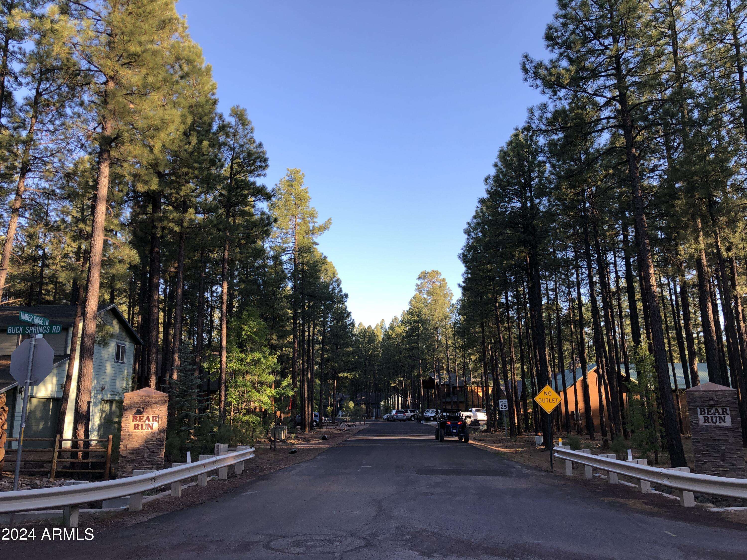 Pinetop, AZ 85935,2504 TIMBER RIDGE Lane #1