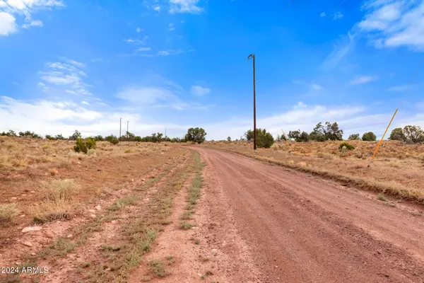 Williams, AZ 86046,3097 N PEAKVIEW Road #164