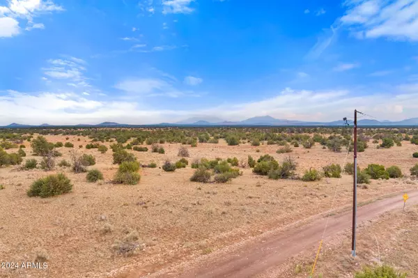 Williams, AZ 86046,3097 N PEAKVIEW Road #164