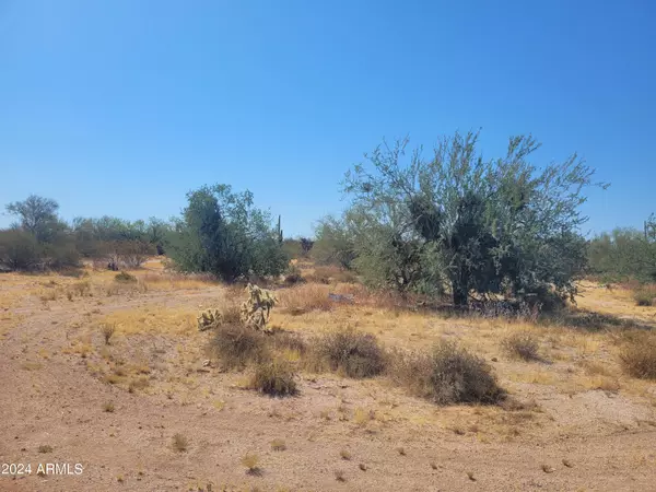 Florence, AZ 85132,0 Roca Road #-