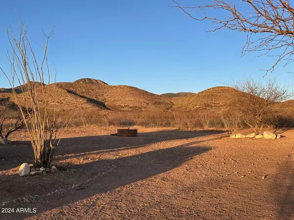 Bisbee, AZ 85603,W Red Mountain Road #_