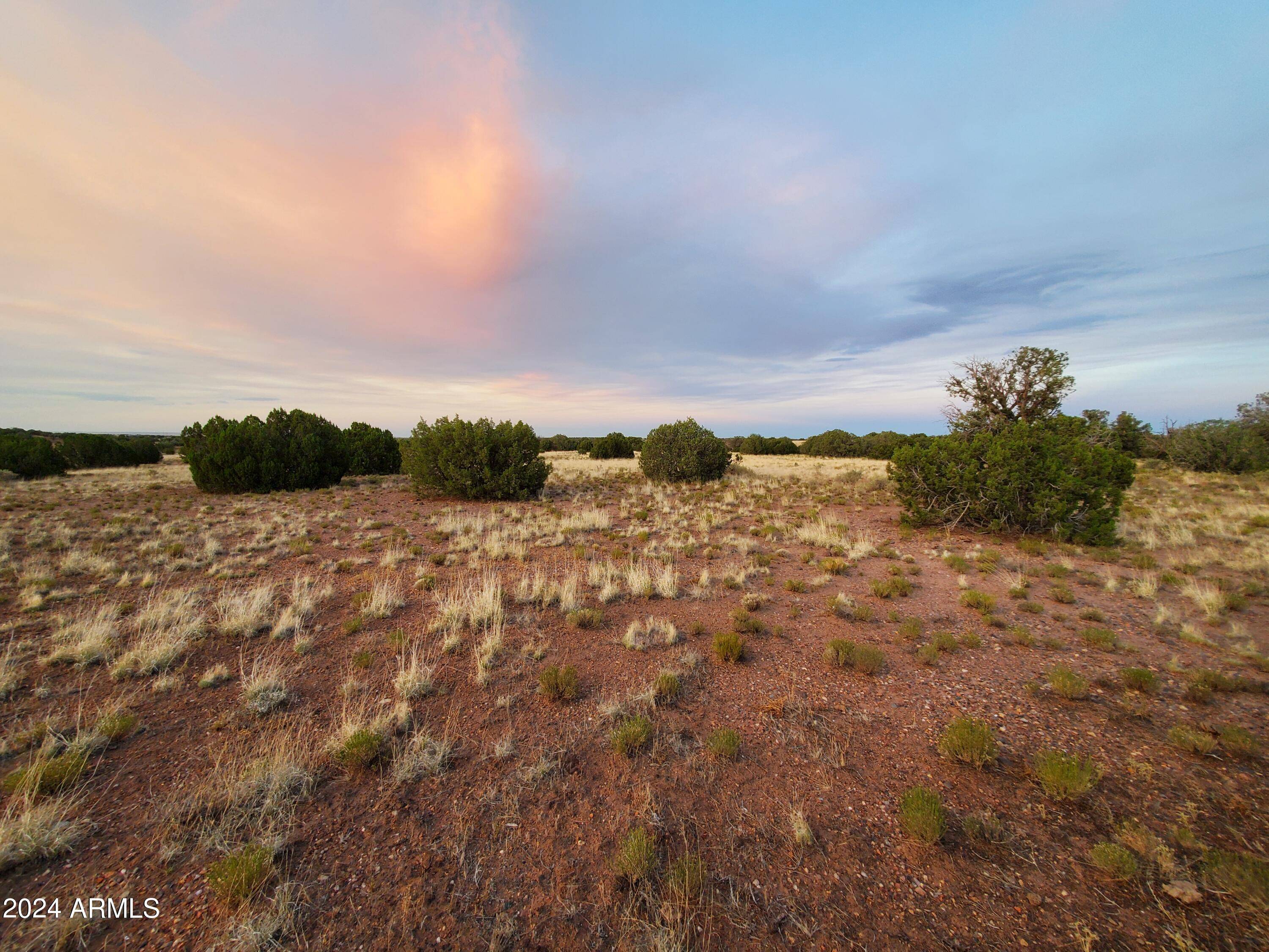 Concho, AZ 85924,Concho Hwy -- #-