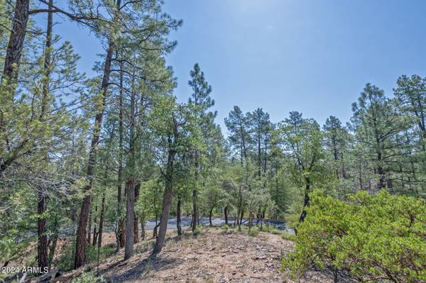 Payson, AZ 85541,3002 S RIM CLUB Drive #265