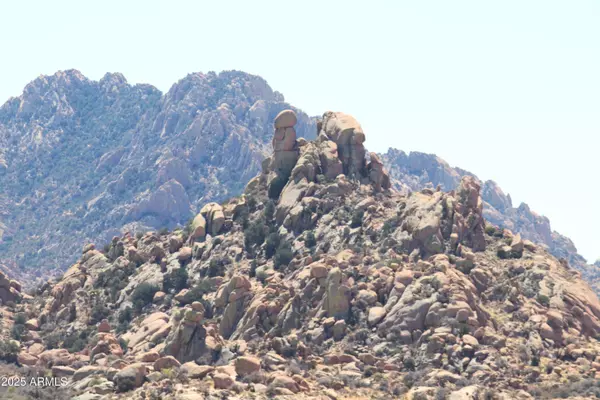Saint David, AZ 85630,268 E Tom Jeffords Road #LOT 68