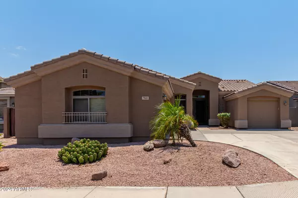 Chandler, AZ 85248,769 W CITRUS Way