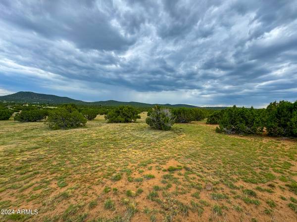 Vernon, AZ 85940,22 COUNTY RD 3048 -- #467