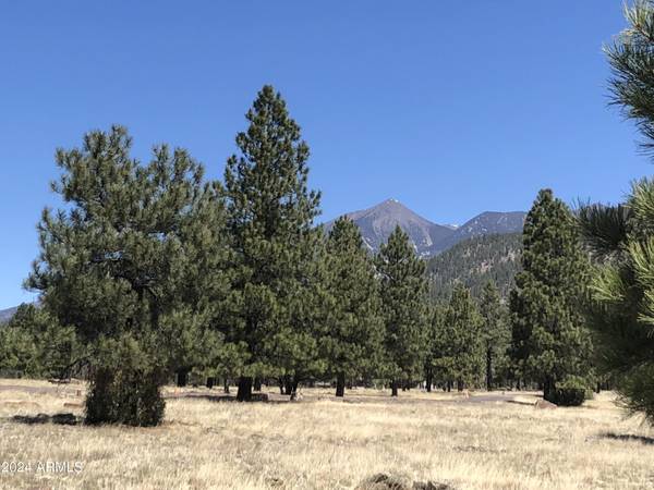 Flagstaff, AZ 86001,3373 Cione Ranch Road #-