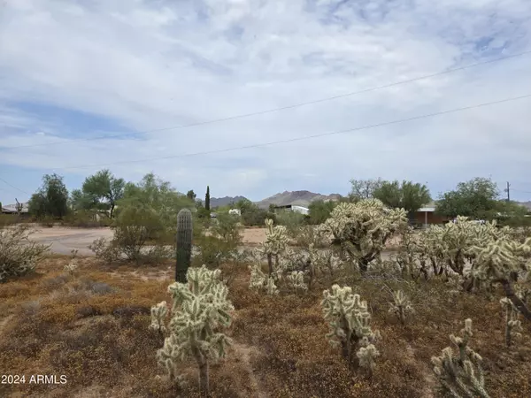 Apache Junction, AZ 85120,1710 N PLAZA Drive #-