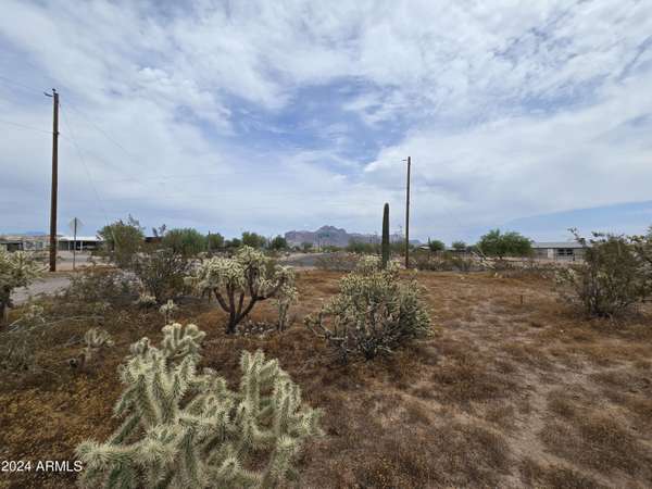 Apache Junction, AZ 85120,1710 N PLAZA Drive #-