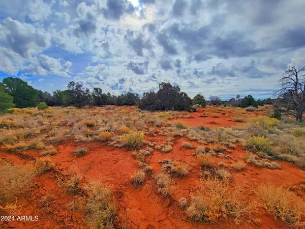 Williams, AZ 86046,2087 S KAIBAB Road #107