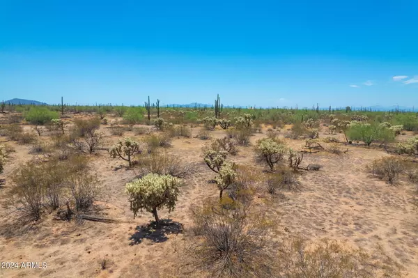 Marana, AZ 85658,346 E Enda Street #-