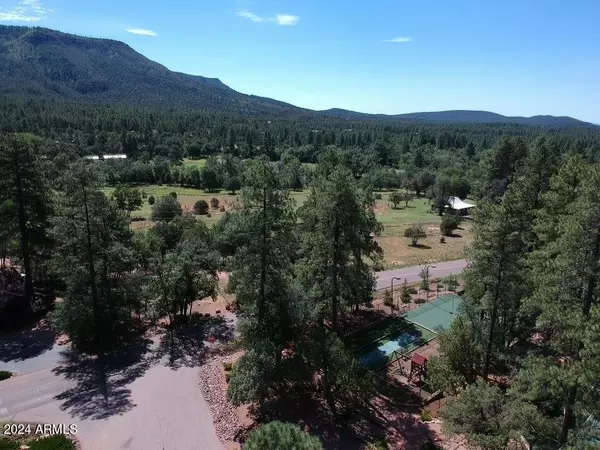 35 Canyon Vista -- #35, Pine, AZ 85544