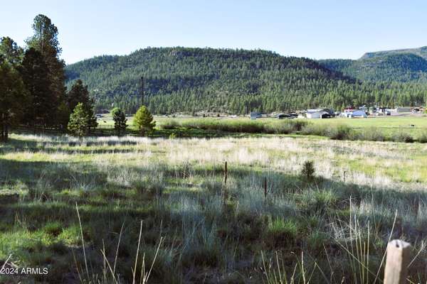 Alpine, AZ 85920,8 N COUNTY ROAD N2062 -- #-