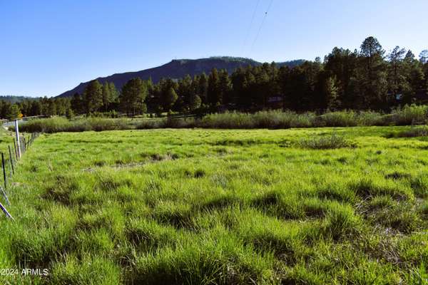 8 N COUNTY ROAD N2062 -- #-,  Alpine,  AZ 85920