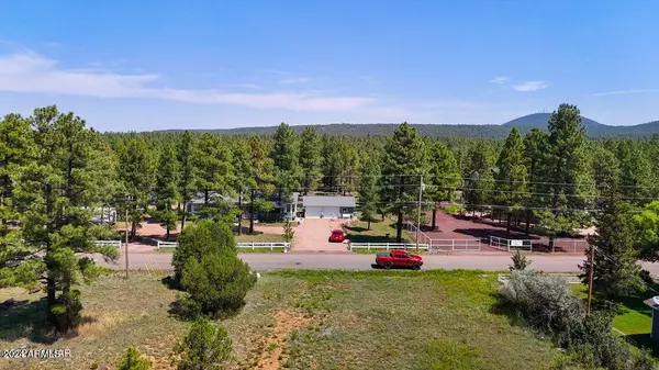 Pinetop-lakeside, AZ 85929,1037 Flag Hollow Road #-