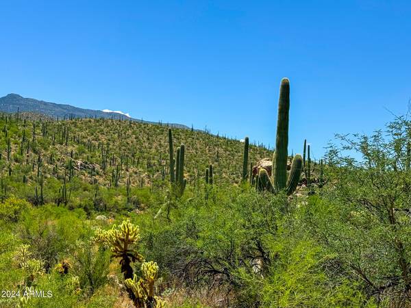 Tucson, AZ 85741,15000 E REDINGTON RD 13.7 ACRES -- #-