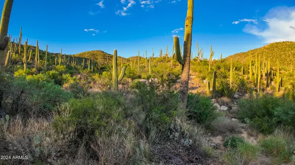 Tucson, AZ 85749,15000 E REDINGTON RD. 28 ACRES -- #-