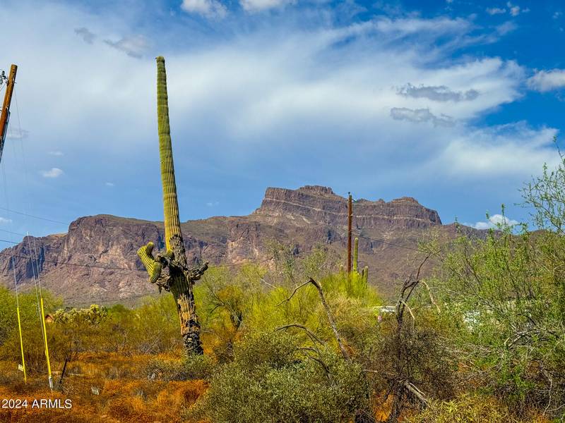 5993 E 10TH Avenue #-, Apache Junction, AZ 85119