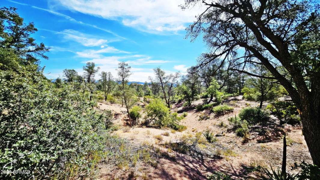 2309 E YERBA SERITA -- #90, Payson, AZ 85541