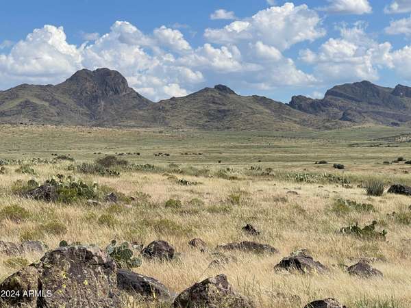 Wikieup, AZ 85360,20177 E Flea Flicker Drive #121 and 122