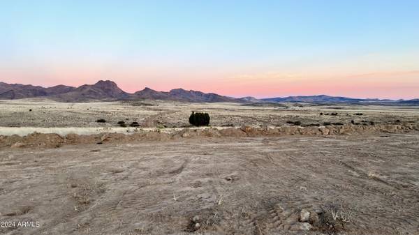 Wikieup, AZ 85360,20177 E Flea Flicker Drive #121 and 122