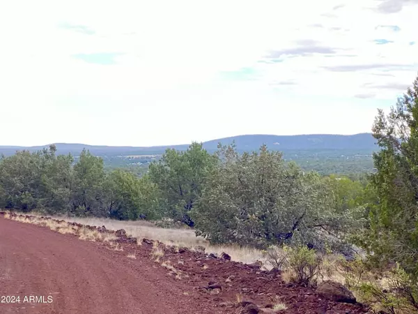 Ash Fork, AZ 86320,1184 W Picacho Drive #-