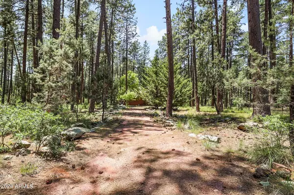 Payson, AZ 85541,480 N MOUNTAIN MEADOW Drive