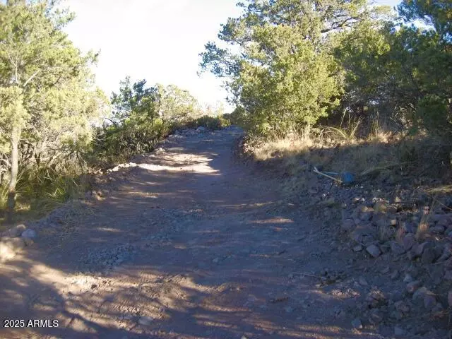 Bisbee, AZ 85603,89.59 Acres Juniper Flats Road #-
