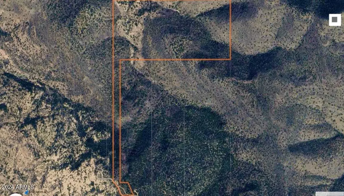 Bisbee, AZ 85603,89.59 Acres Juniper Flats Road #-