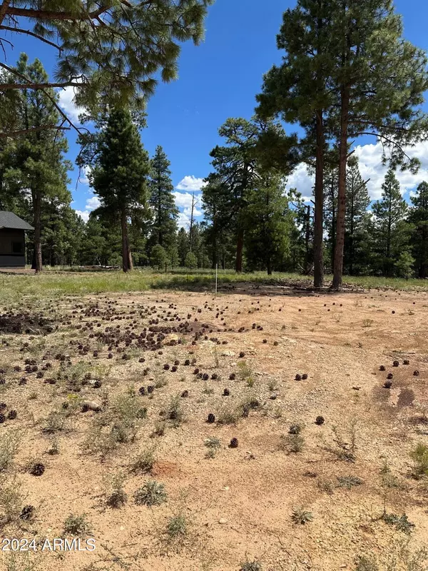 Flagstaff, AZ 86005,2460 S Pinyon Jay Drive #24