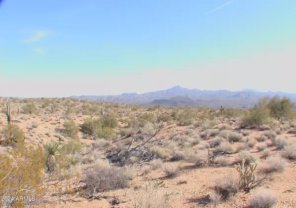 Wikieup, AZ 85360,15997 E Page Road #-