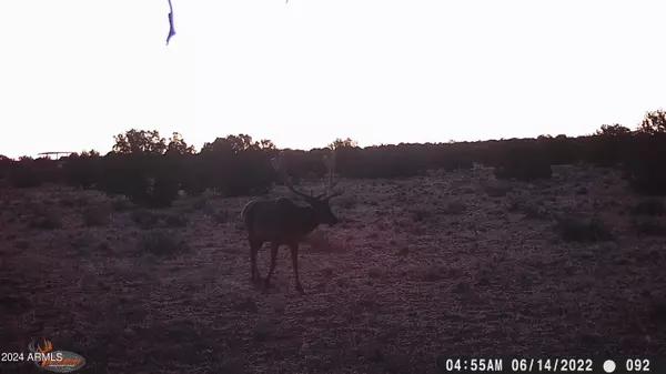 Heber, AZ 85928,1080 E Mulvehill Avenue #1