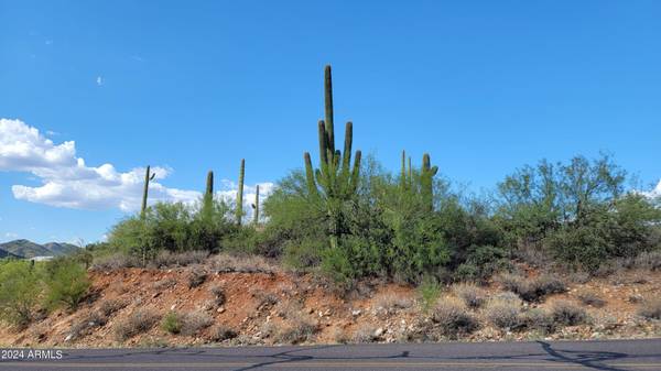 Black Canyon City, AZ 85324,32995 S MAGGIE MINE Road #0