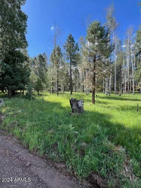 7105 W FREEDLINE Drive #35, Flagstaff, AZ 86001