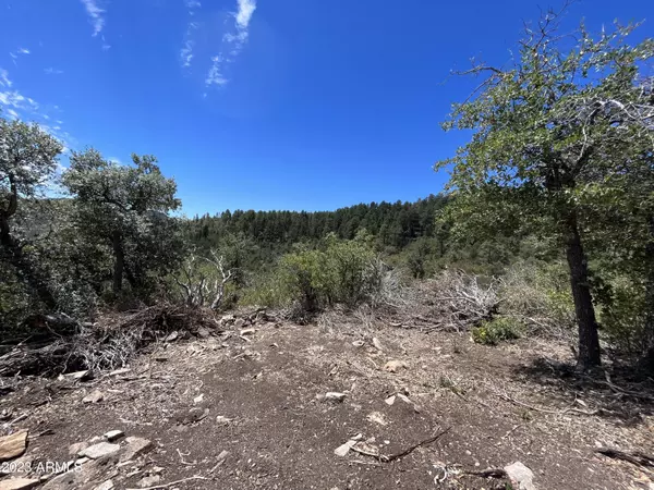 Crown King, AZ 86343,E Laurita Road #-