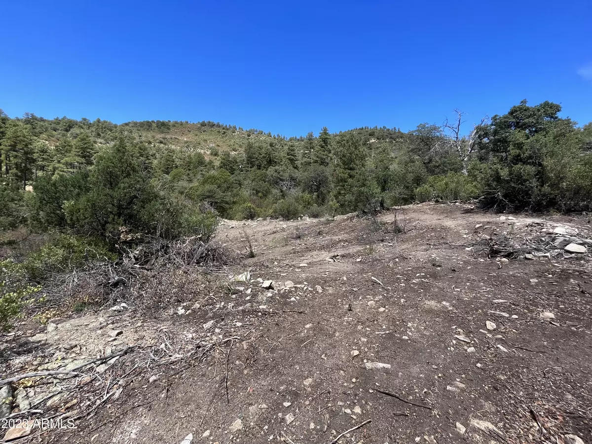 Crown King, AZ 86343,E Laurita Road #-