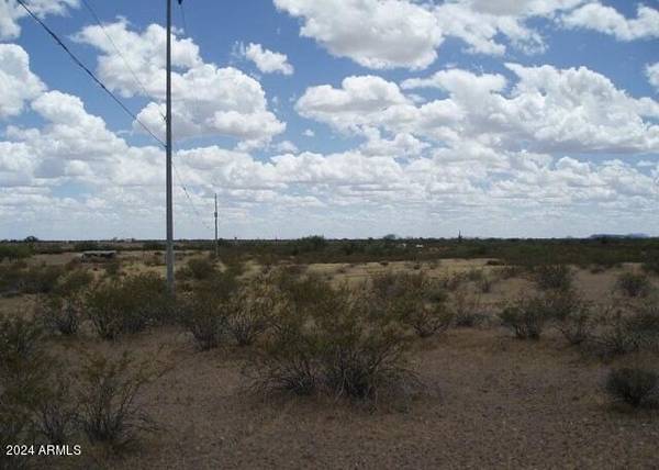 Wittmann, AZ 85361,30579 W REDBIRD Road