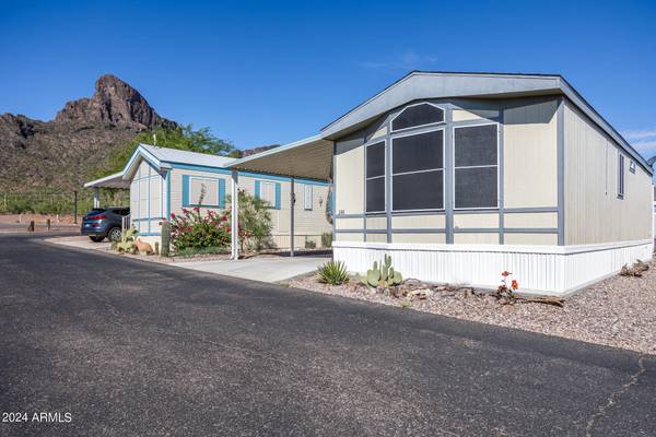 Picacho, AZ 85141,17065 E PEAK Lane #248