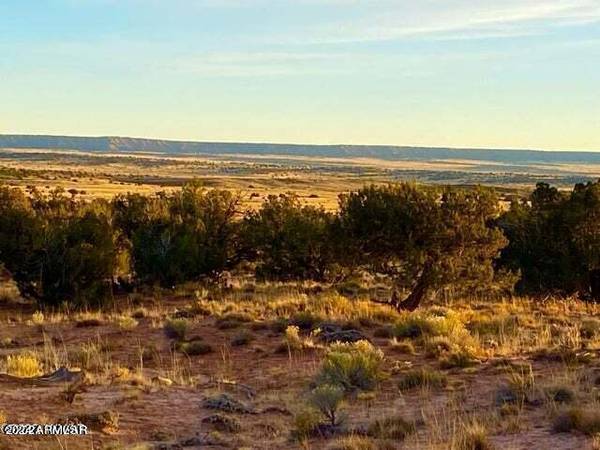 Sanders, AZ 86512,Sanders 127.5 acres Lot B -- #-