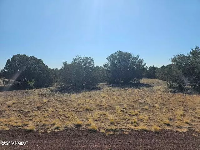 Show Low, AZ 85901,2301 SITGREAVES Street #42