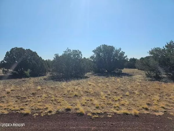 2301 SITGREAVES Street #42,  Show Low,  AZ 85901