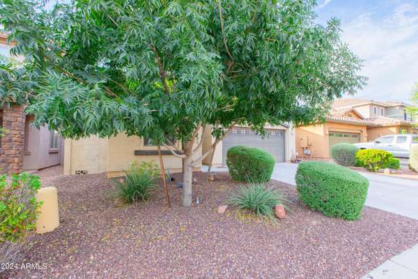 Gilbert, AZ 85298,3862 E NARROWLEAF Drive