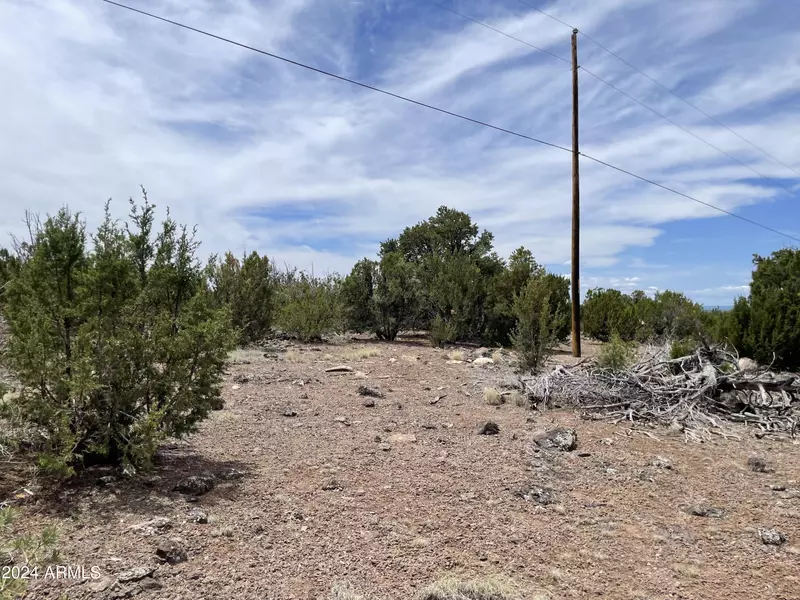 0 N N8166 and Stanford Dr - Lot C -- #73, Vernon, AZ 85940