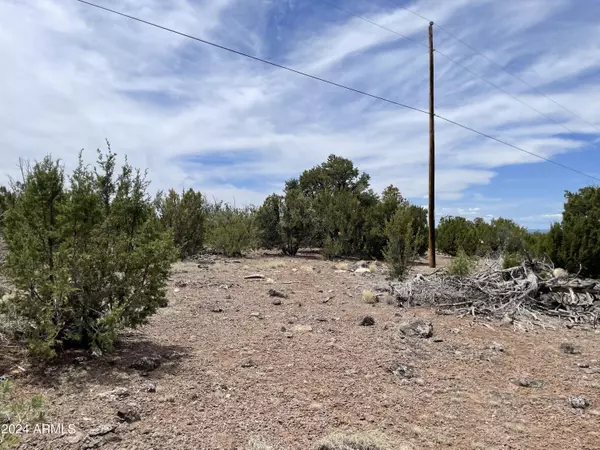 0 N N8166 and Stanford Dr - Lot C -- #73, Vernon, AZ 85940