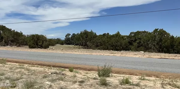 Vernon, AZ 85940,0 N N8166 and Stanford Dr - Lot C -- #73