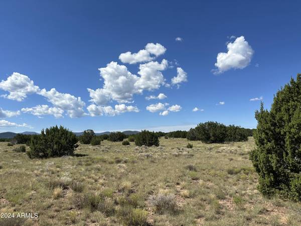 Vernon, AZ 85940,14 County Road N3111 -- #-