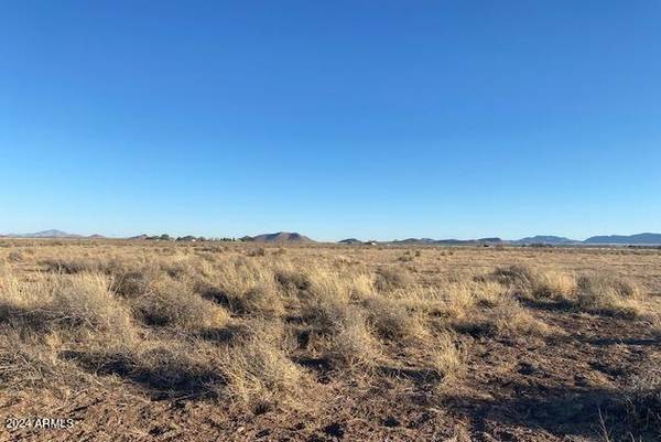 Cochise, AZ 85606,1426 N Steele Road #-