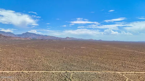 Lake Havasu City, AZ 86406,JESSE JAMES RD. 80 ACRES -- #-